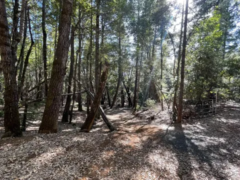 53800 Highway 101