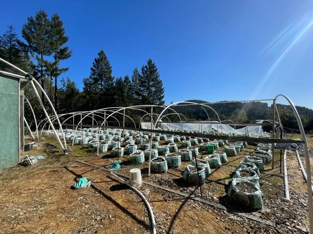 53800 Highway 101 Laytonville, CA 95454