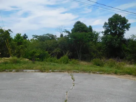 Rio Grande Road