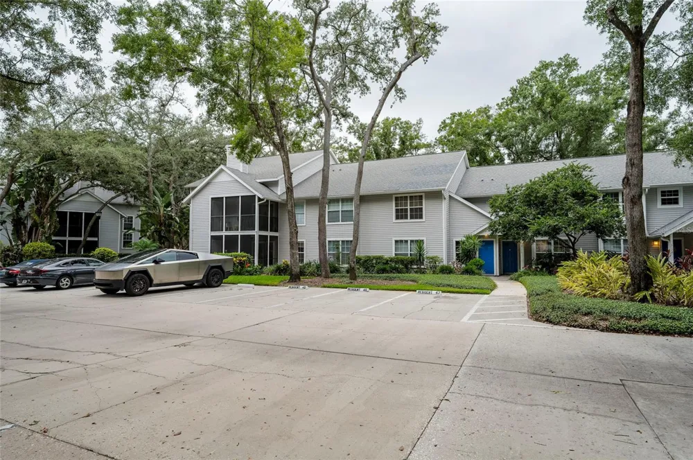 3164 VALLEY OAKS DRIVE #3164 Tampa, FL 33618