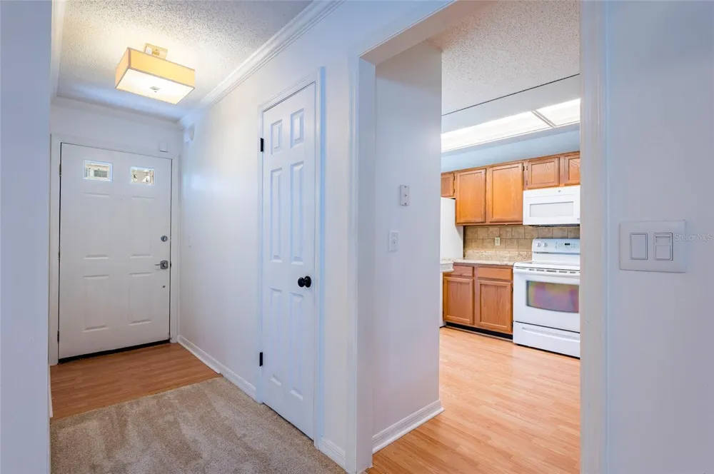 3164 VALLEY OAKS DRIVE #3164 Tampa, FL 33618