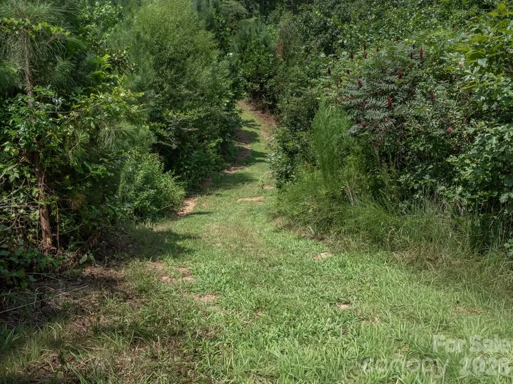 473 McEntire Road Tryon, NC 28782