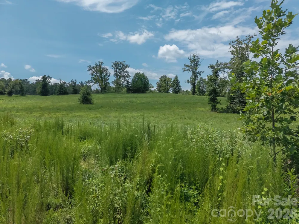 473 McEntire Road Tryon, NC 28782