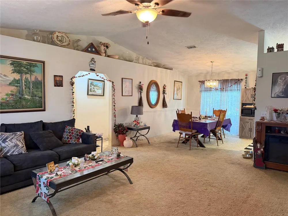 12315 SE 60TH TERRACE Belleview, FL 34420
