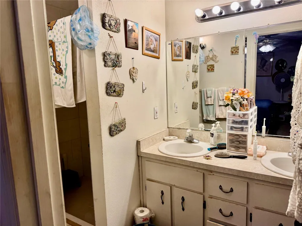 12315 SE 60TH TERRACE Belleview, FL 34420