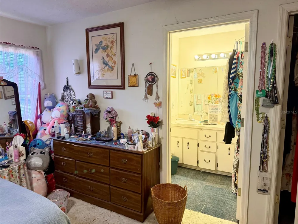 12315 SE 60TH TERRACE Belleview, FL 34420