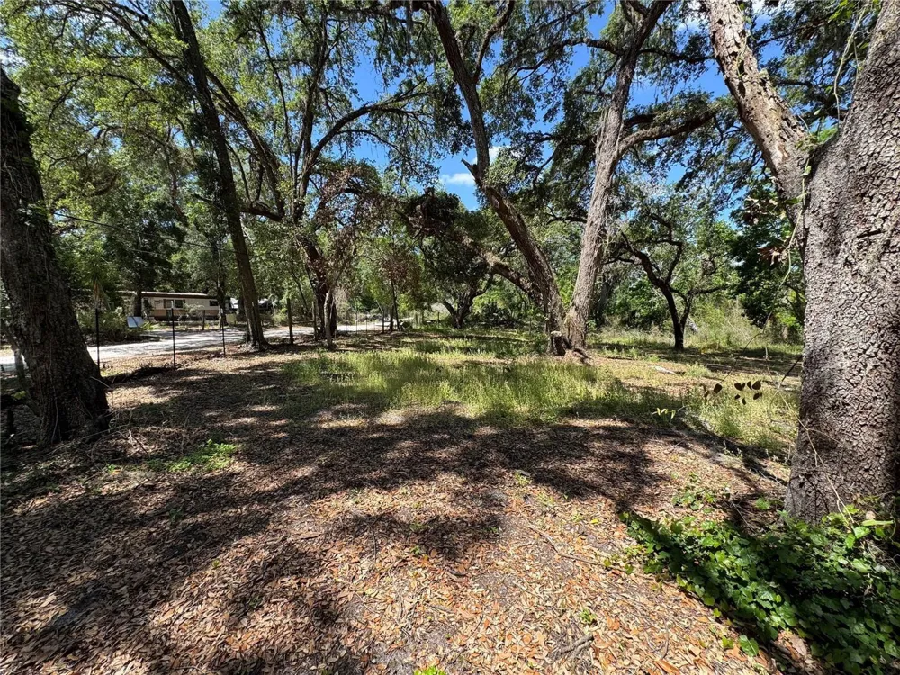 TANNAHILL STREET Dade City, FL 33523