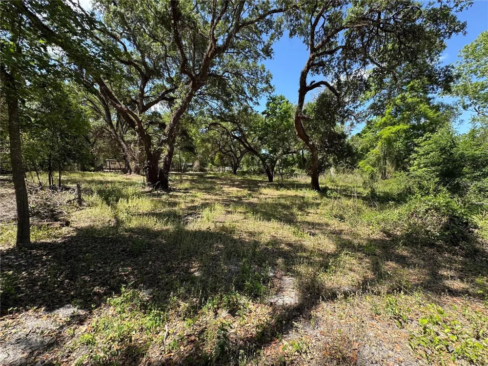 TANNAHILL STREET Dade City, FL 33523