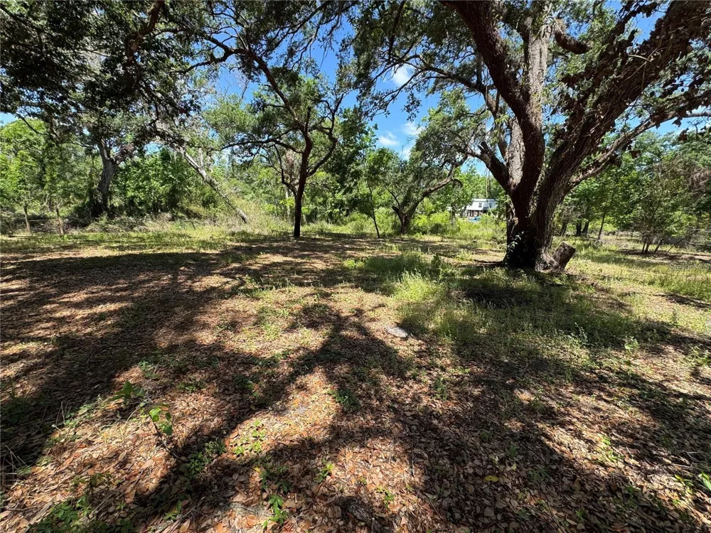 TANNAHILL STREET Dade City, FL 33523