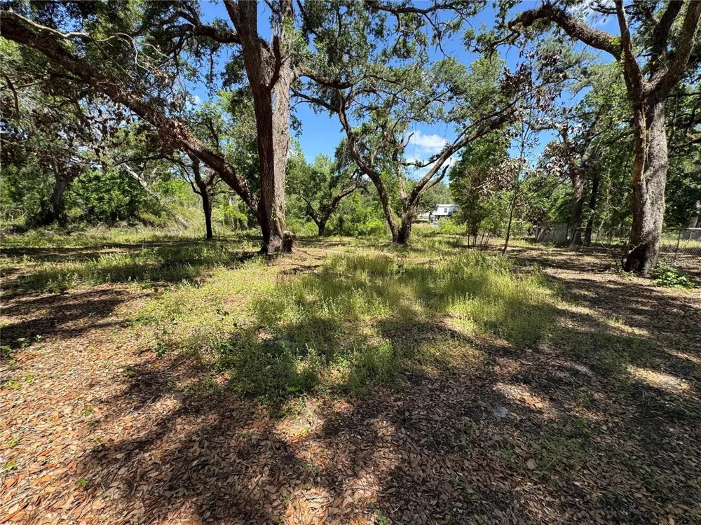 TANNAHILL STREET Dade City, FL 33523