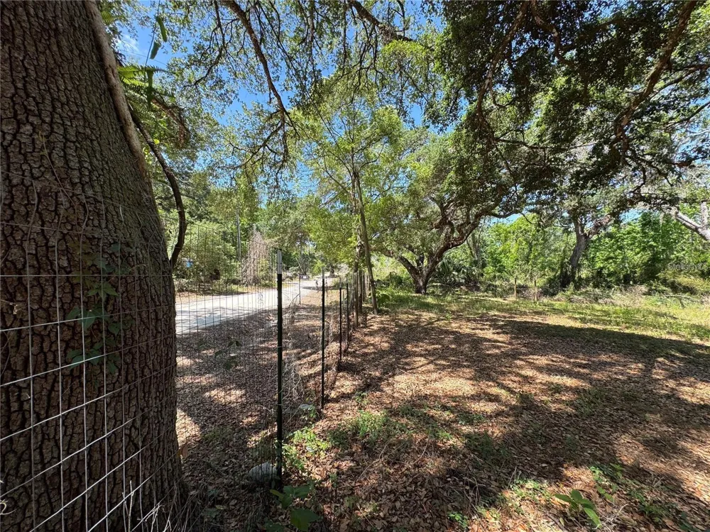 TANNAHILL STREET Dade City, FL 33523