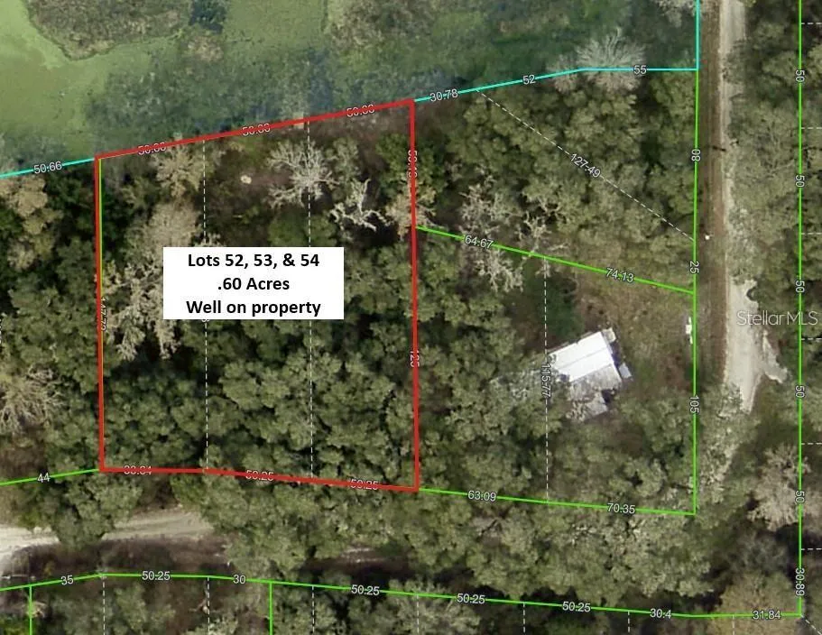 TANNAHILL STREET Dade City, FL 33523