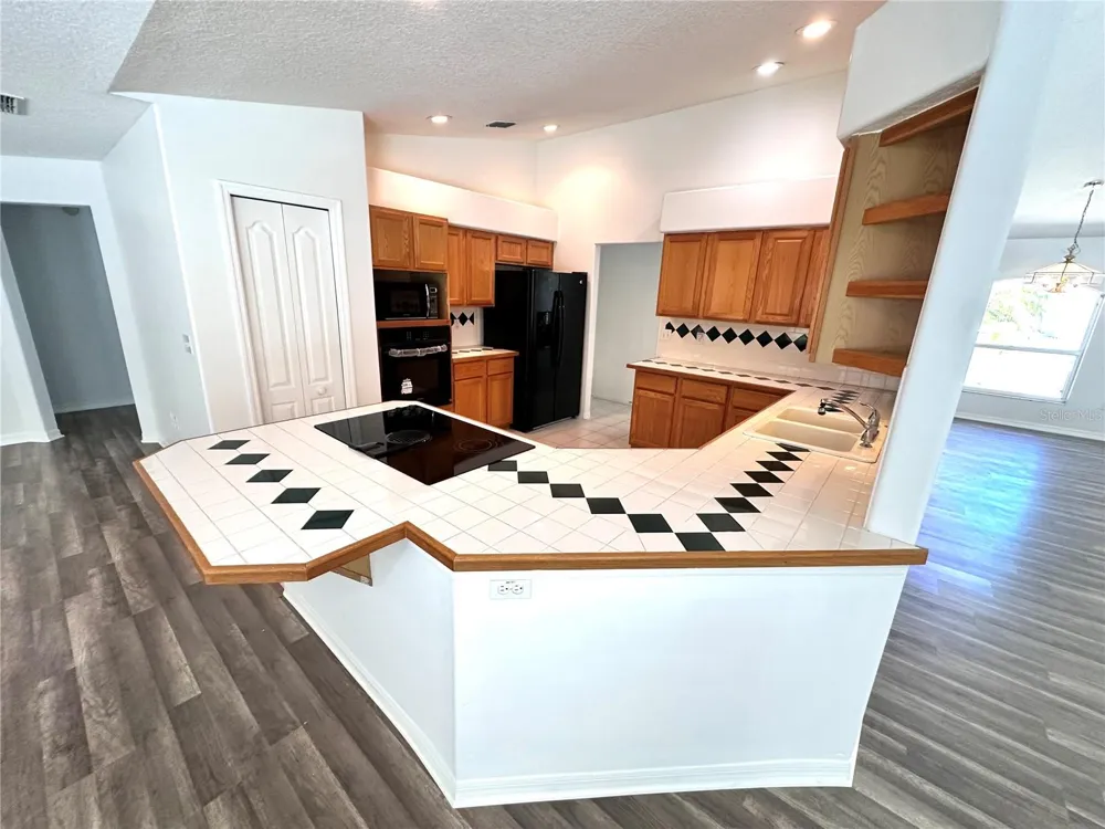 29439 SCHINNECOCK HILLS LANE San Antonio, FL 33576