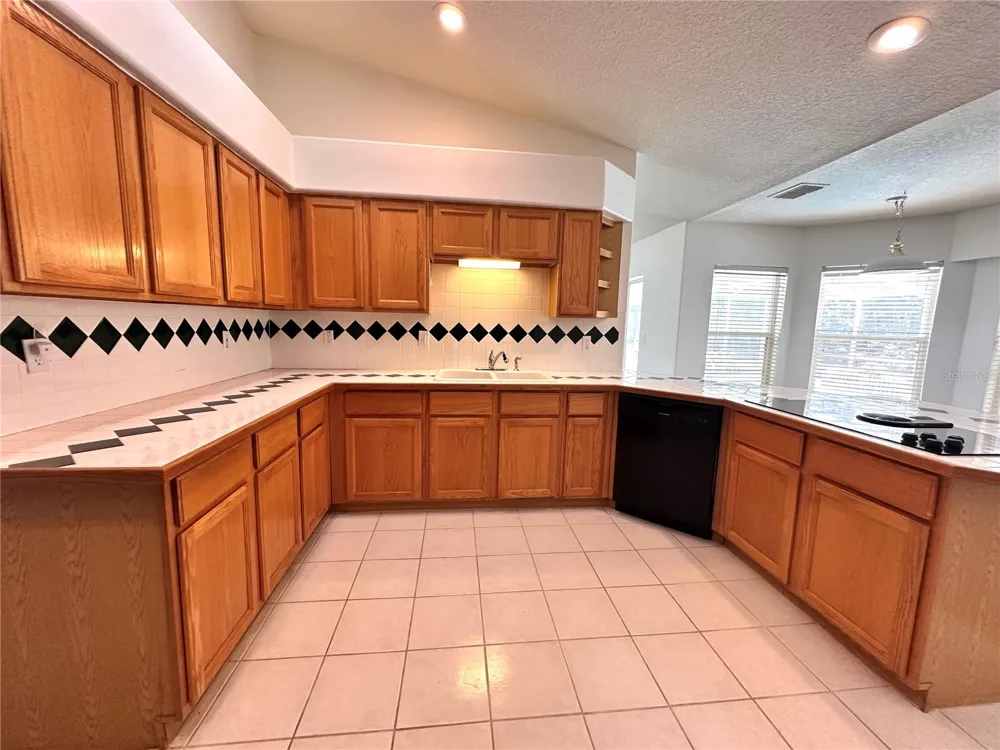 29439 SCHINNECOCK HILLS LANE San Antonio, FL 33576