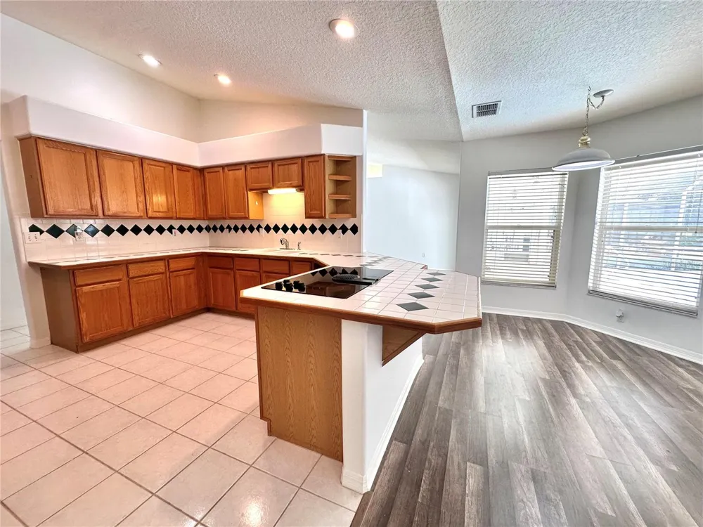 29439 SCHINNECOCK HILLS LANE San Antonio, FL 33576
