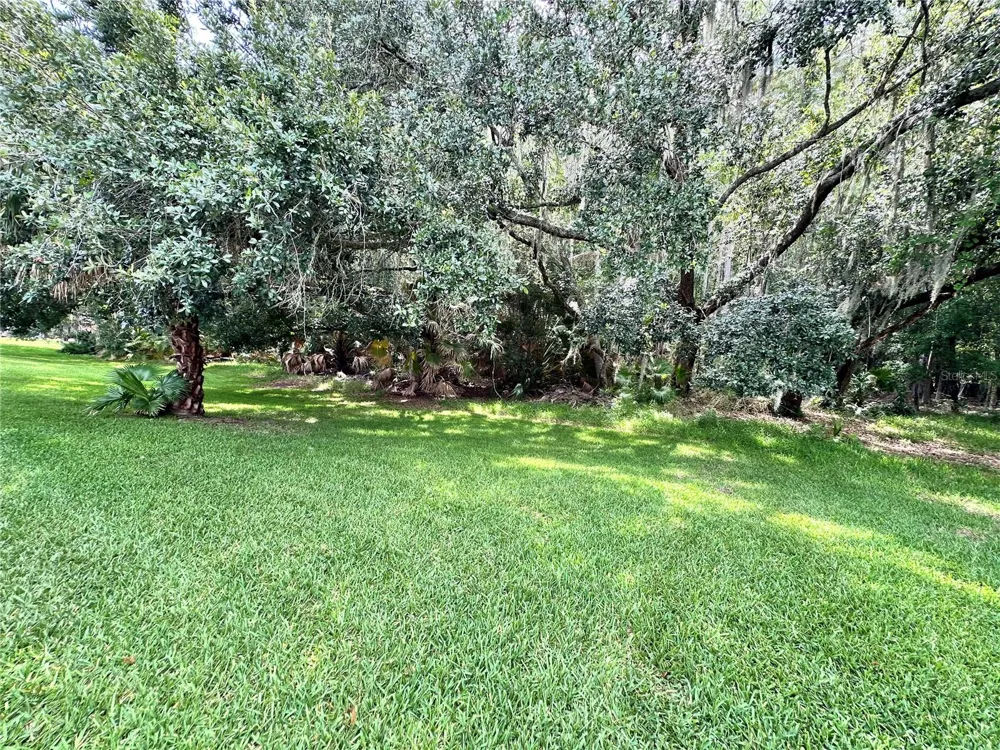 29439 SCHINNECOCK HILLS LANE San Antonio, FL 33576