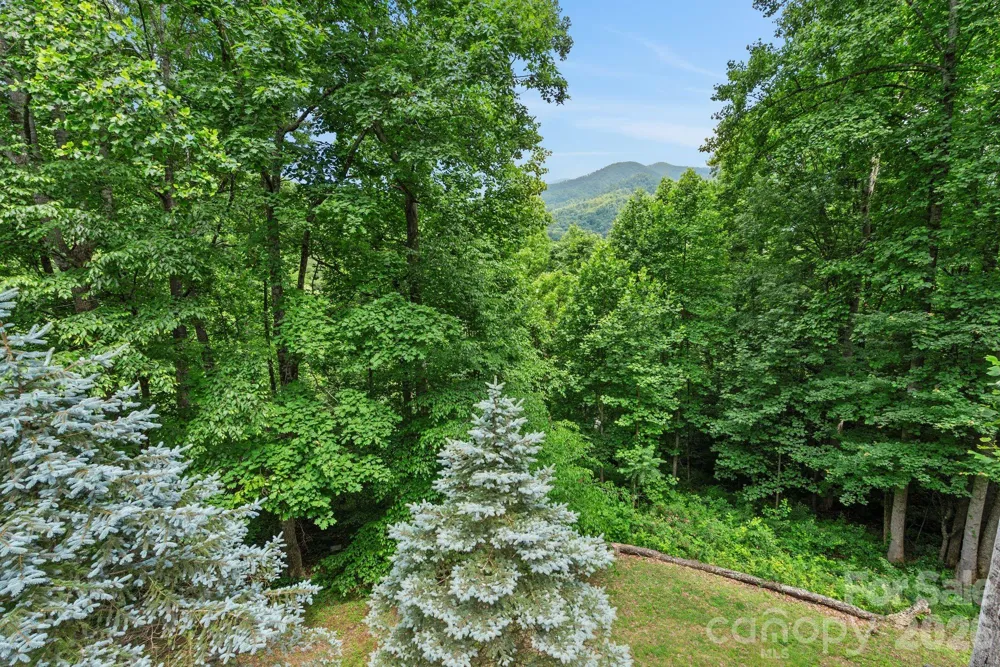 522 Silver Hawk Lane Weaverville, NC 28787