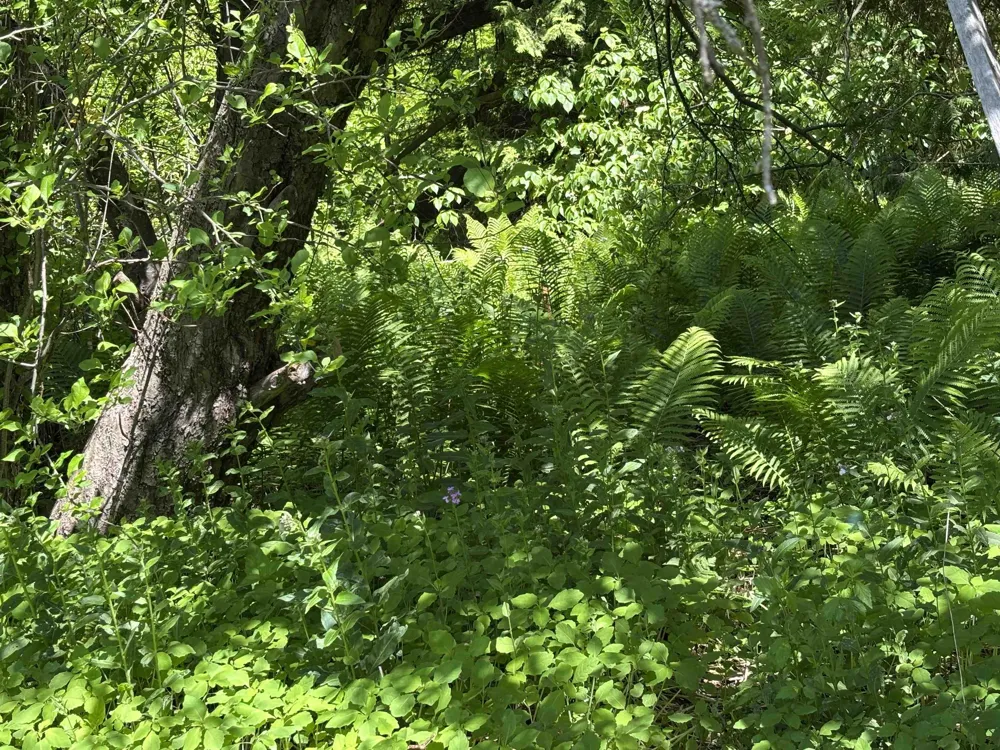 5962 S Lake Leelanau Drive Bingham Township, MI 49684