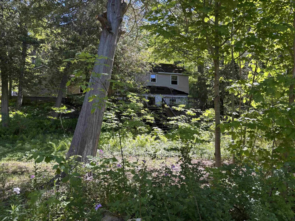 5962 S Lake Leelanau Drive Bingham Township, MI 49684