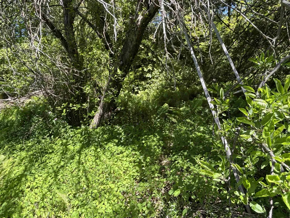 5962 S Lake Leelanau Drive Bingham Township, MI 49684