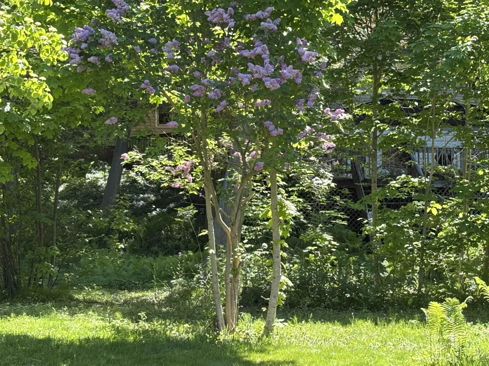 5962 S Lake Leelanau Drive Bingham Township, MI 49684