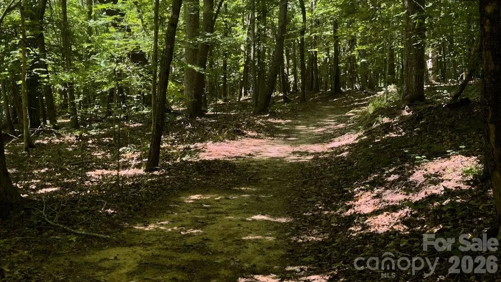 9818 S NC 9 LANE Columbus, NC 28722