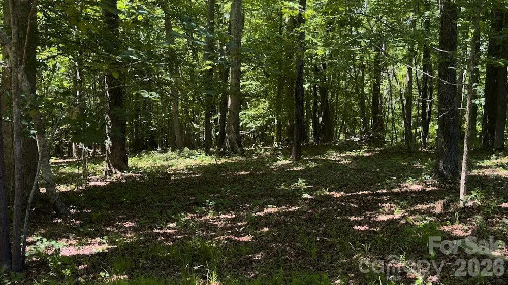 9818 S NC 9 LANE Columbus, NC 28722