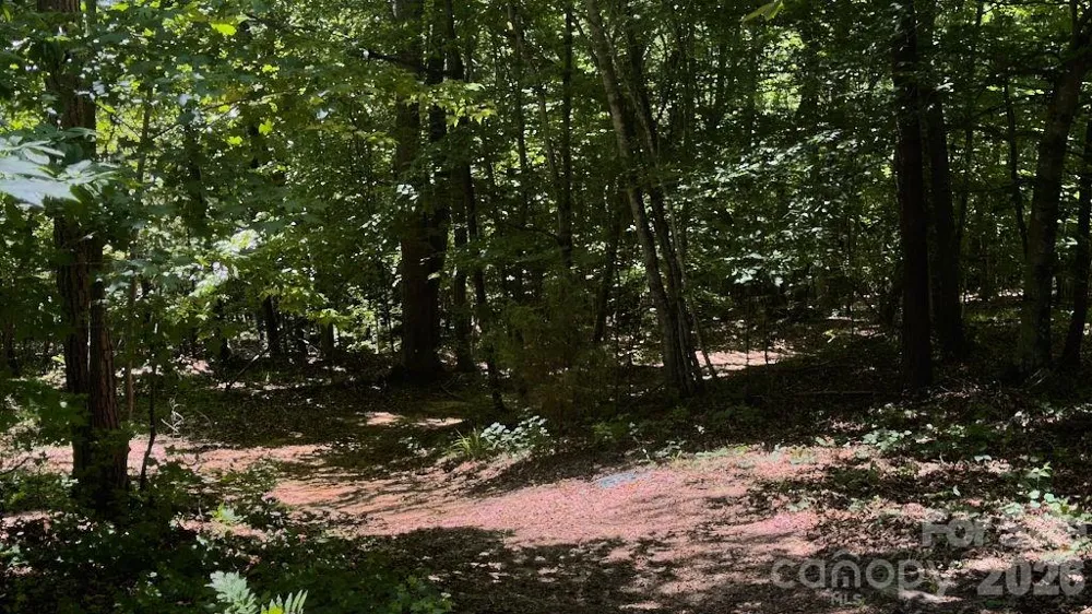 9818 S NC 9 LANE Columbus, NC 28722