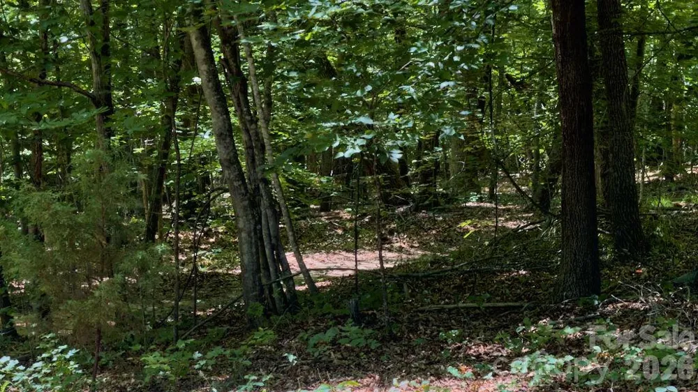 9818 S NC 9 LANE Columbus, NC 28722