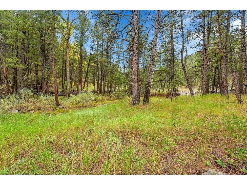 5567 Lefthand Canyon Drive Jamestown, CO 80455