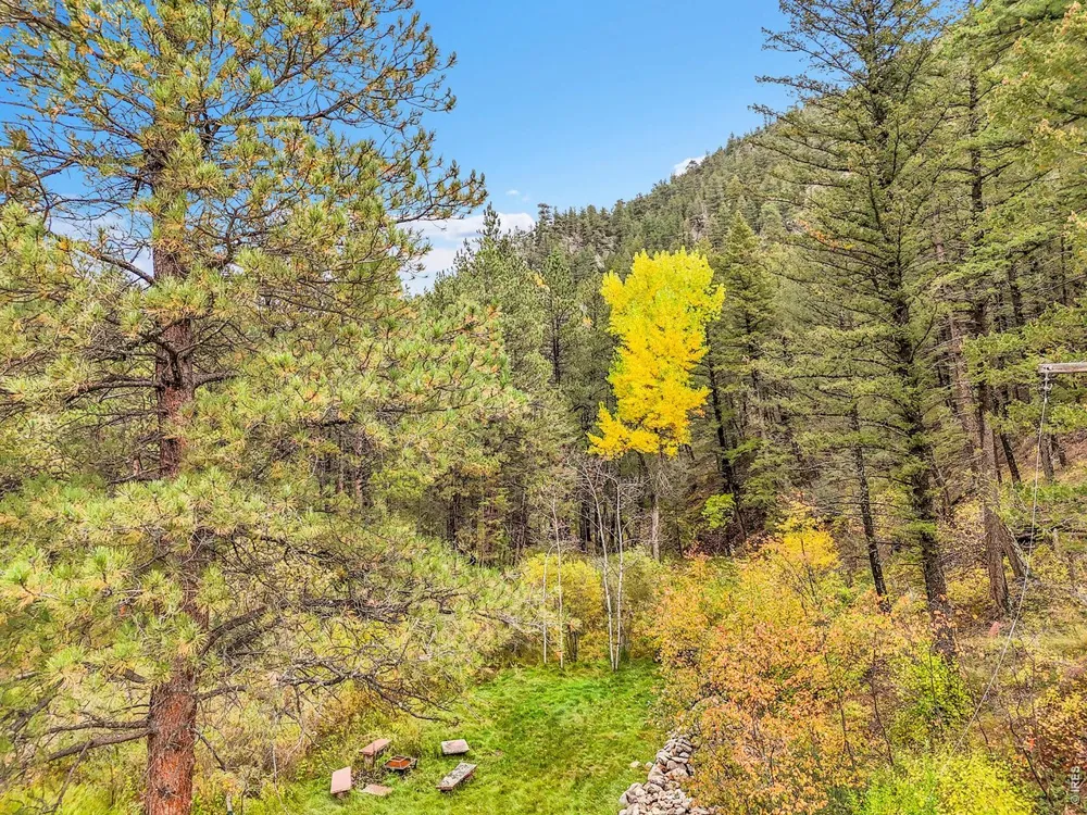 5567 Lefthand Canyon Drive Jamestown, CO 80455