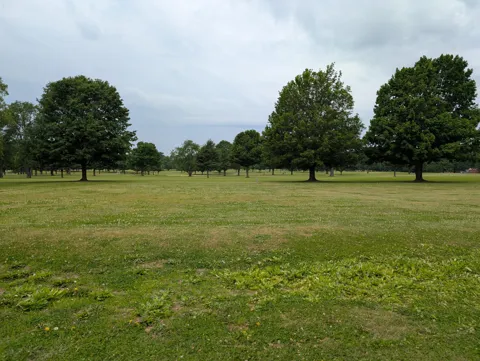 Woodland Drive