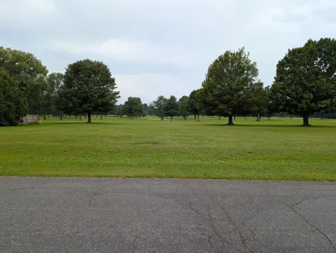 Woodland Drive