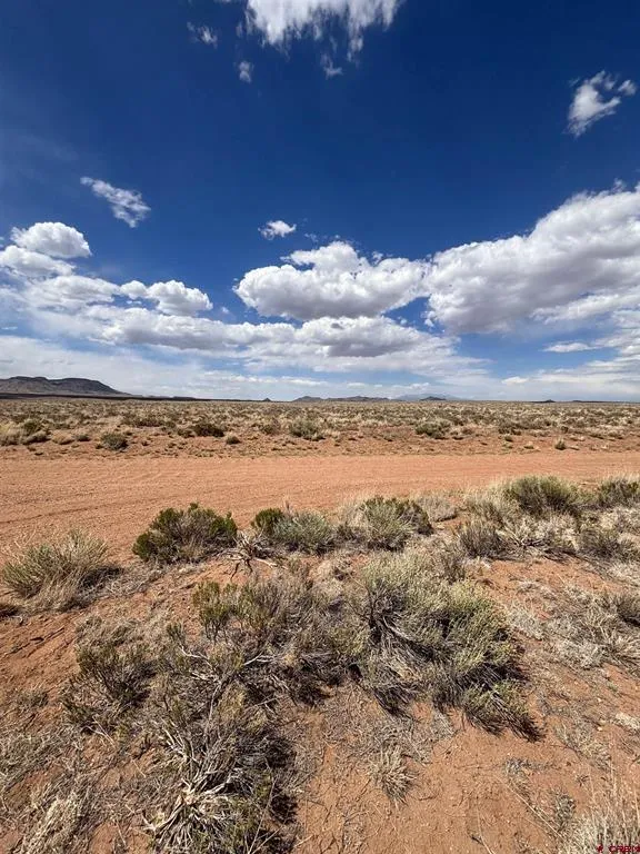1 LA JARA TRAIL San Acacio, CO 81151