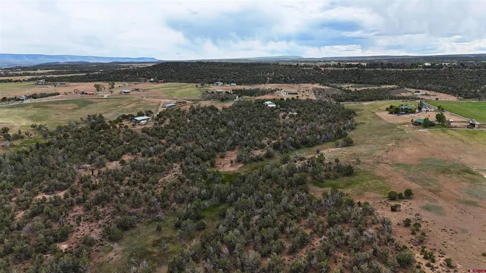 37957 Fruitland Mesa Road Crawford, CO 81415