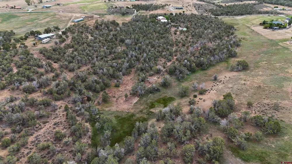 37957 Fruitland Mesa Road Crawford, CO 81415