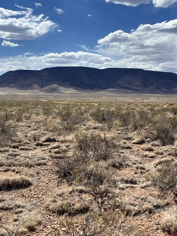 2 La Jara Trail San Acacio, CO 81151