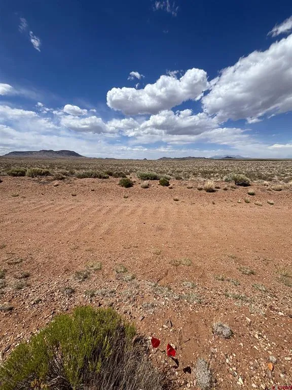 2 La Jara Trail San Acacio, CO 81151