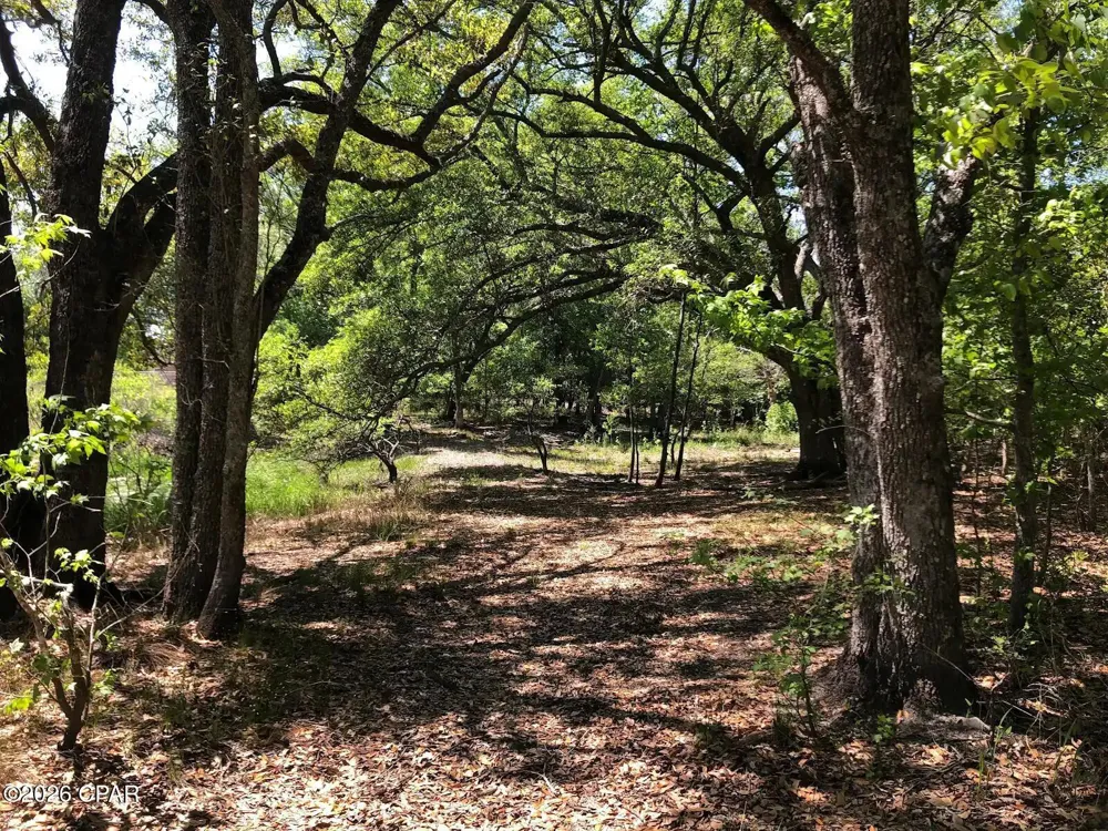 Little Zion Road Sneads, FL 32460