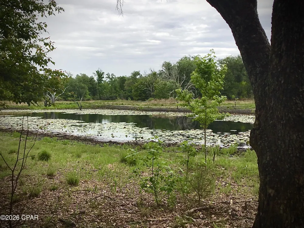 Little Zion Road Sneads, FL 32460