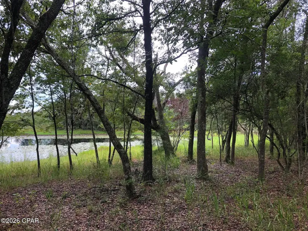 Little Zion Road Sneads, FL 32460