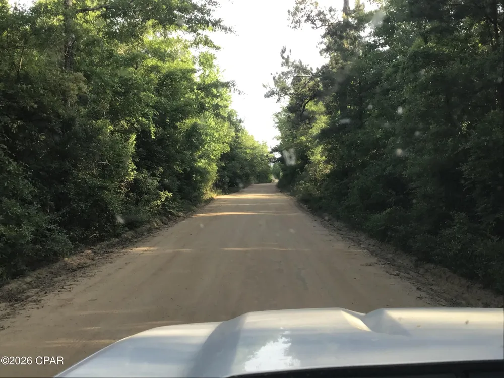 Little Zion Road Sneads, FL 32460