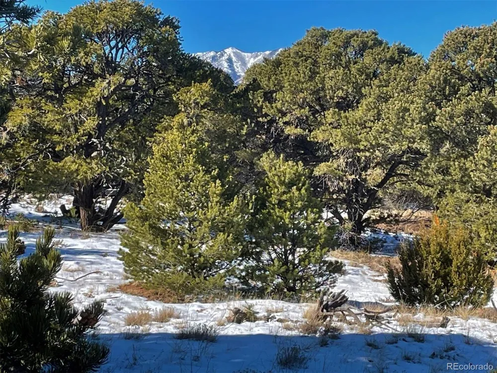 64 Navajo Ranch Resorts Walsenburg, CO 81089
