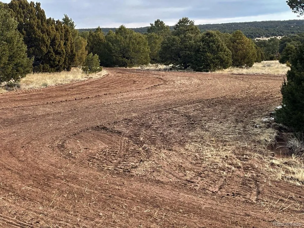 64 Navajo Ranch Resorts Walsenburg, CO 81089