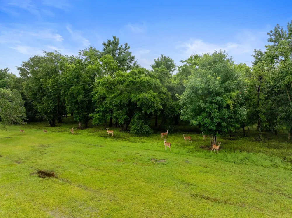 32610 Bayou Bend Richwood, TX 77515