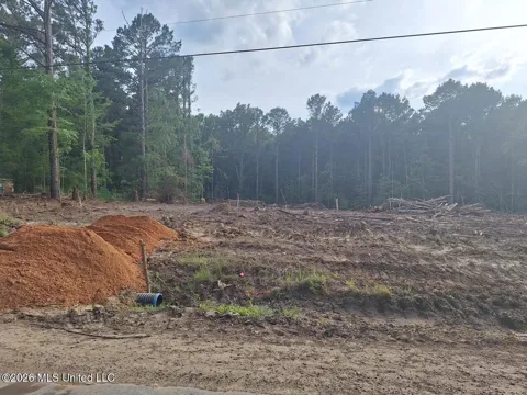 709 Old Pinola Braxton Road