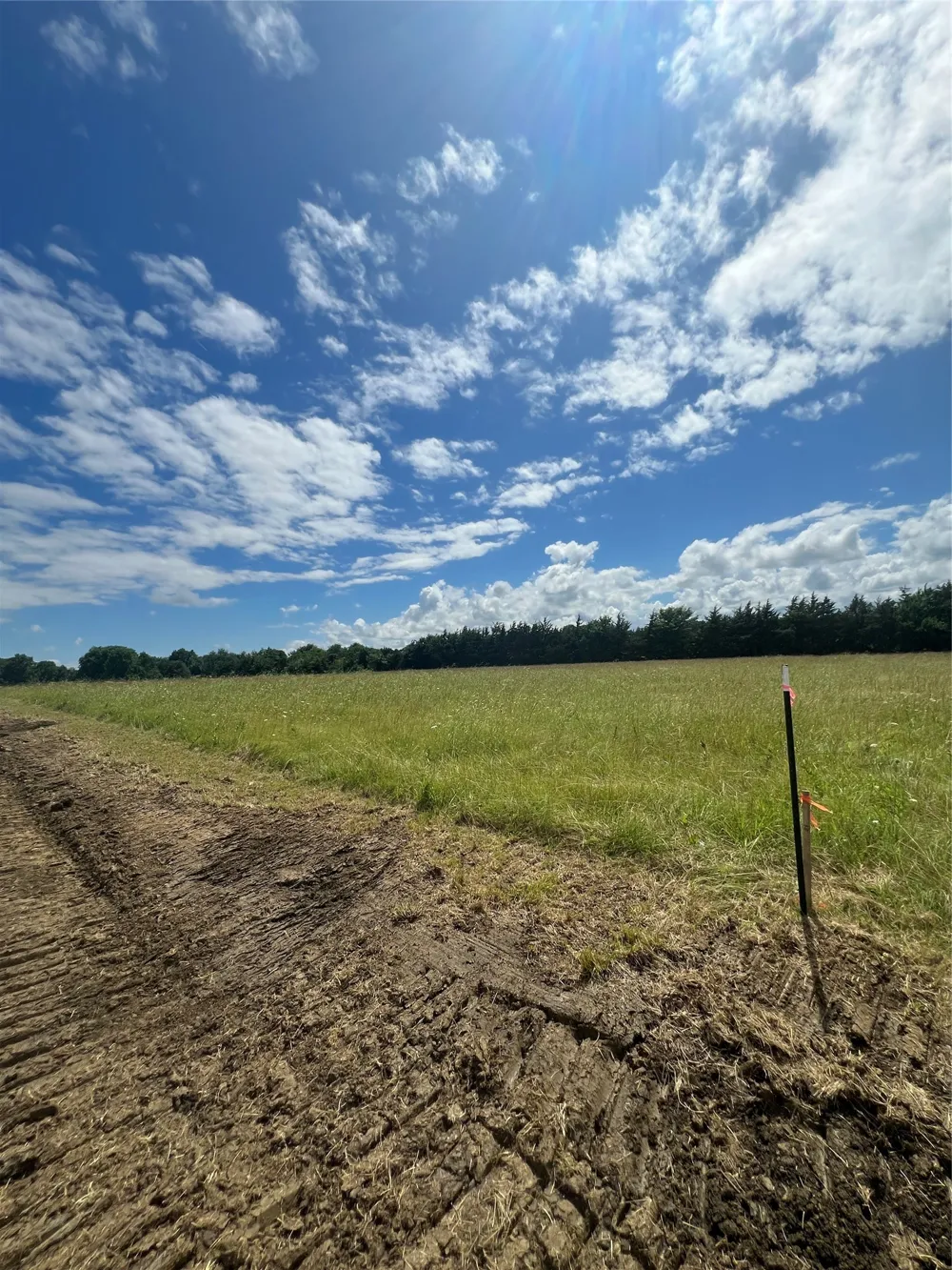 195 PR 33267 Sumner, TX 75486