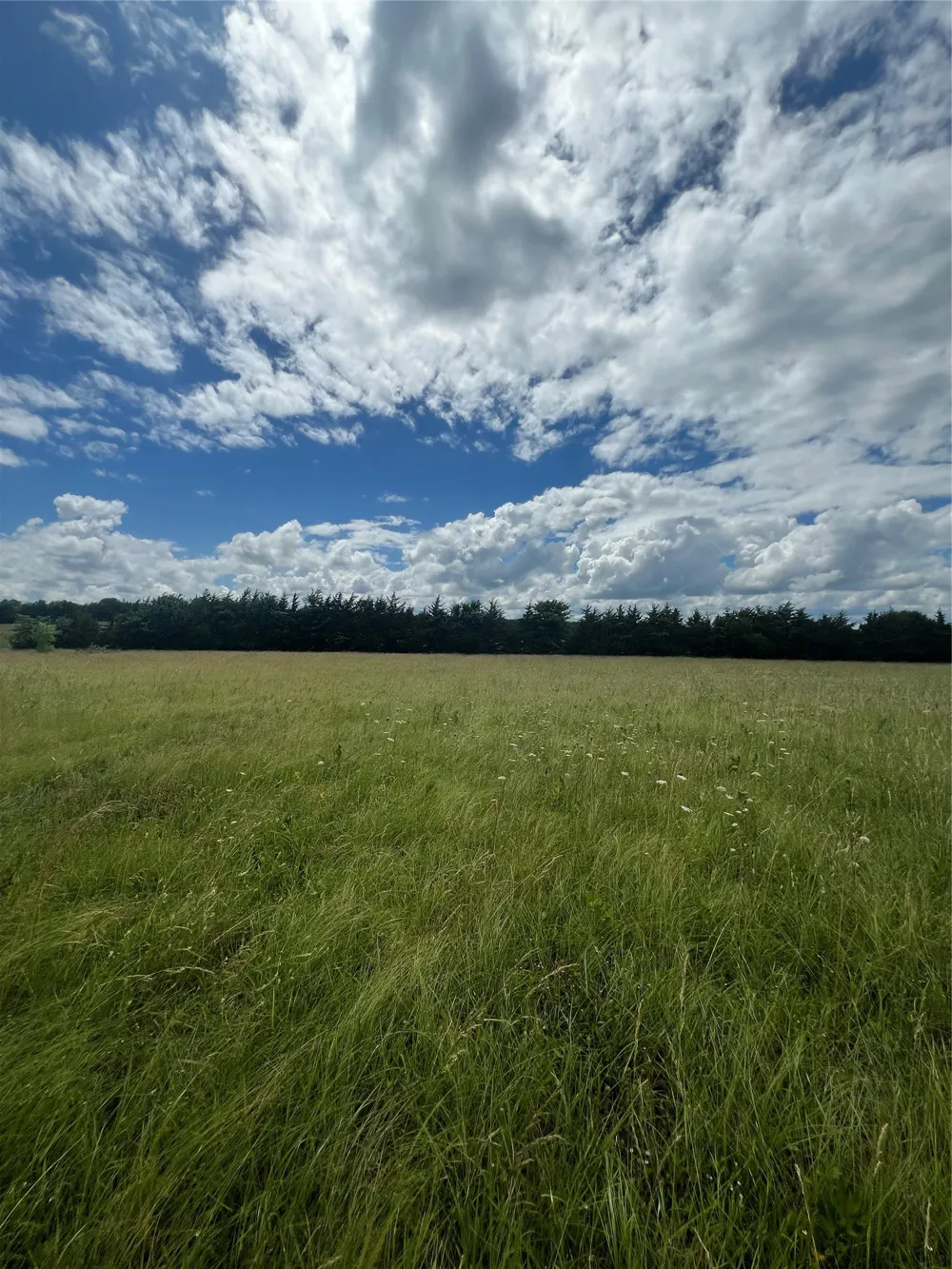 195 PR 33267 Sumner, TX 75486