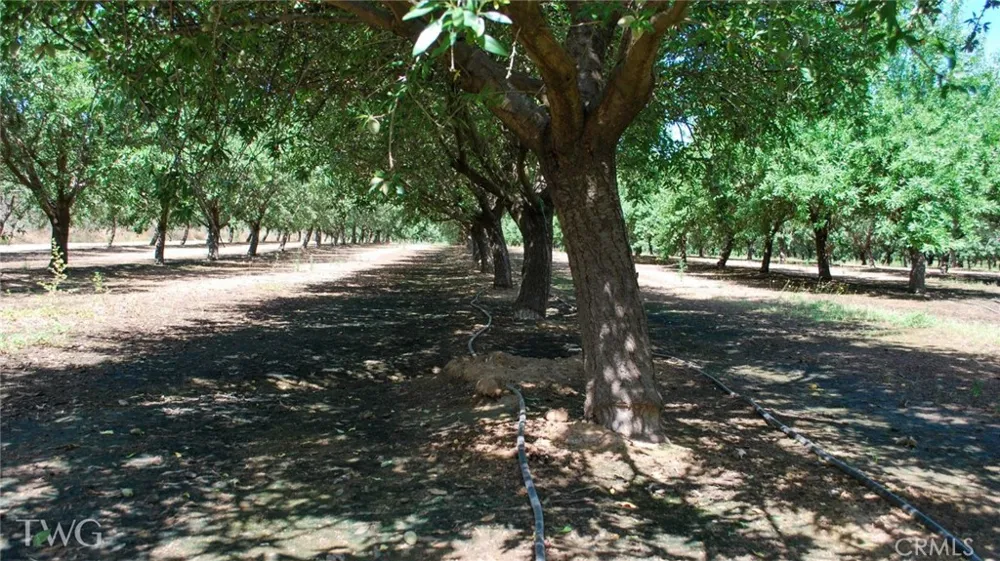 Road 26 Chowchilla, CA 93610