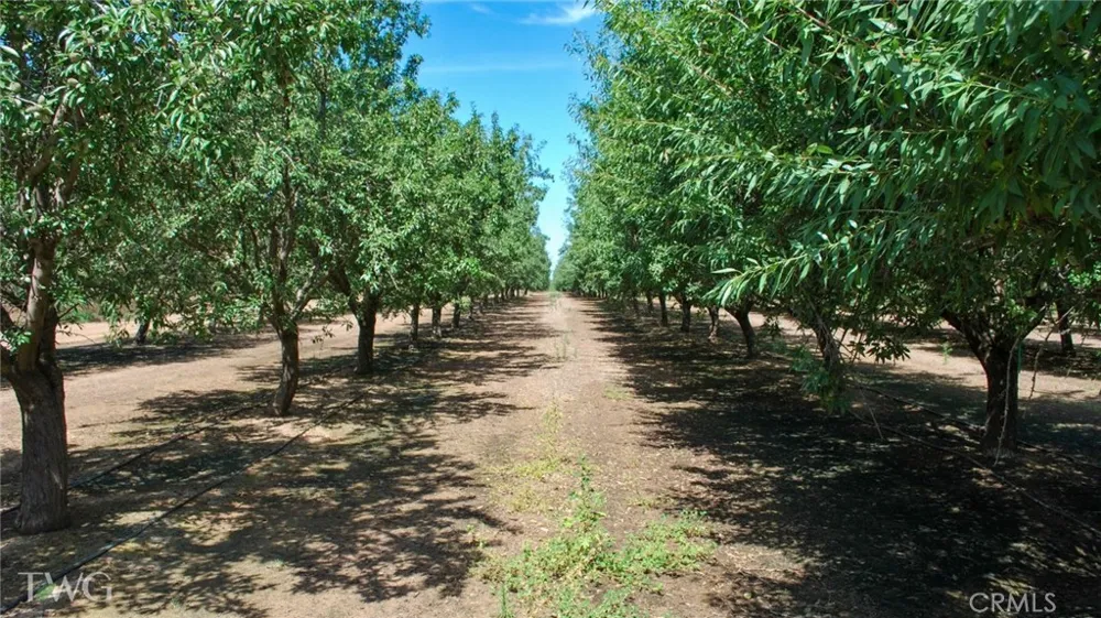 Road 26 Chowchilla, CA 93610